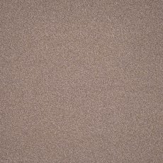 Elegance In Hedgehog Carpet Elegance In Hedgehog Carpet