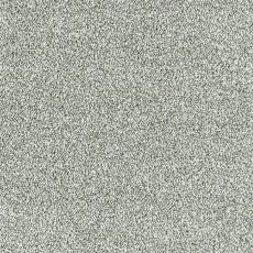 Lasting Romance In Silver Cloud Carpet