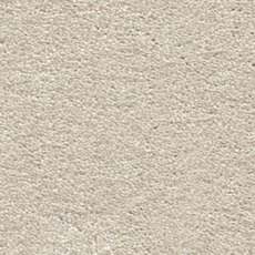 Magnificus In Silkworm Carpet Magnificus In Silkworm Carpet