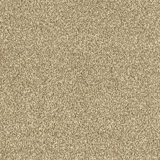 Maximus In Biscotti Carpet Maximus In Biscotti Carpet