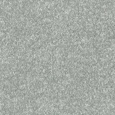 Maximus In Centurion Carpet Maximus In Centurion Carpet