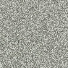 Maximus In French Grey Carpet Maximus In French Grey Carpet