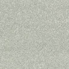 Maximus In Ice Dance Carpet