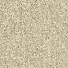 Maximus In Manor House Carpet Maximus In Manor House Carpet