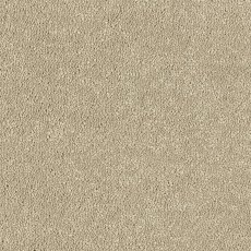 Maximus In Moccasin Carpet Maximus In Moccasin Carpet