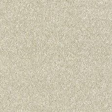 Maximus In Parchment Carpet Maximus In Parchment Carpet