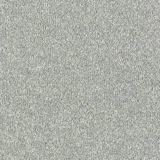 Maximus In Platinum Carpet Maximus In Platinum Carpet