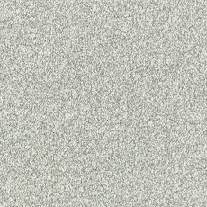 Maximus In Soft Shadow Carpet