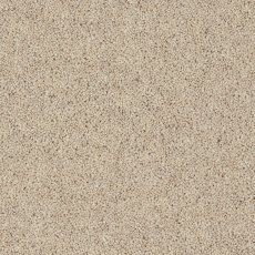 Morton Heathers In Pine Nut Carpet