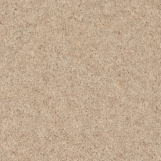 Morton Heathers In Yardley Stone Carpet Morton Heathers In Yardley Stone Carpet