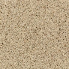 Natural Berber In Coconut Carpet