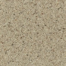 Natural Berber In Morning Dew Carpet Natural Berber In Morning Dew Carpet