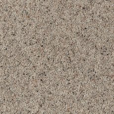 Natural Berber In Platinum Carpet