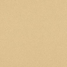 Natural Choice In Eider Carpet