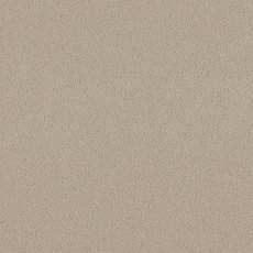 Natural Choice In Platinum Carpet Natural Choice In Platinum Carpet