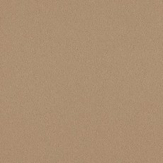 Natural Choice In Plover Carpet