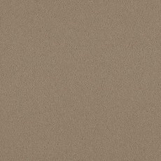 Natural Choice In Pumice Carpet Natural Choice In Pumice Carpet