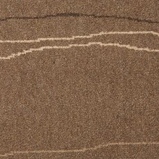 Natures Own In New Wave Oak Carpet Natures Own In New Wave Oak Carpet