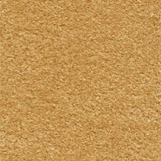 Orion In Golden Honey Carpet