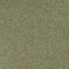 Pentwist Colour In Orchard Carpet