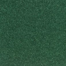 Pentwist Colour In Rainforest Carpet Pentwist Colour In Rainforest Carpet