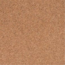 Pentwist Natural In Calico Carpet