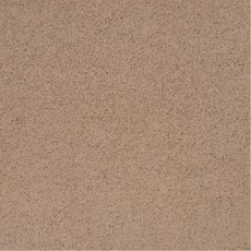 Pentwist Natural In Cashew Carpet