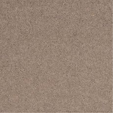 Pentwist Natural In Twilight Carpet