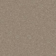 Portrush In Cappuccino Carpet