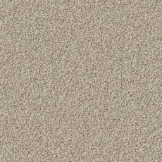 Portrush In Impala Carpet