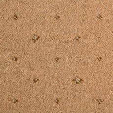 Prince Bishop In Sceptre Beige Carpet Prince Bishop In Sceptre Beige Carpet