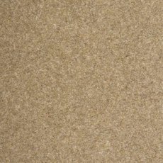 Quartz In Basalt Carpet