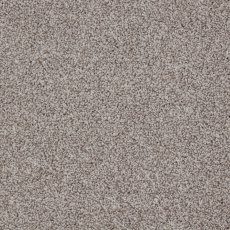 Rothesay In North Star Carpet Rothesay In North Star Carpet