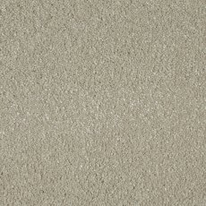 Rowston In Ammonite Carpet