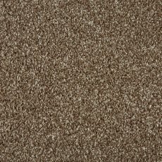 Saltfleet In Chocolate Carpet