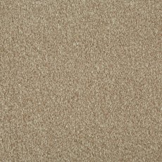 Saltfleet In Curlew Carpet