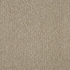 Saltfleet In Putty Carpet Saltfleet In Putty Carpet
