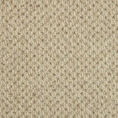 Selsey Plains Carpet in Autumn Devon Selsey Plains Carpet in Autumn Devon