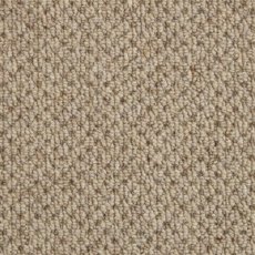 Selsey Plains Carpet in Autumn Harvest