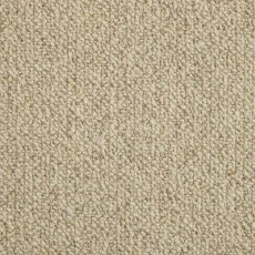 Selsey Plains Carpet in Summer Devon Selsey Plains Carpet in Summer Devon