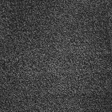 Septimus In Autumn Moore Carpet