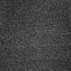 Severus In Autumn Moore Carpet