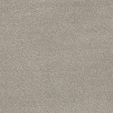 Severus In Soft Silver Carpet