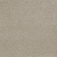 Severus In Stony Ground Carpet Severus In Stony Ground Carpet