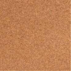 Shoreline In Reef Carpet Shoreline In Reef Carpet