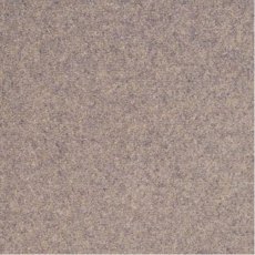 Shoreline In Rock Pool Carpet