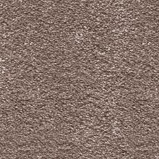 Sirius In Den Carpet