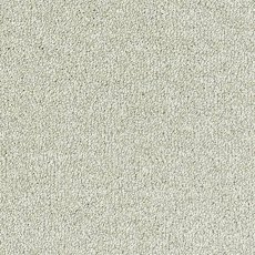 Sophisticat In Champagne Carpet Sophisticat In Champagne Carpet