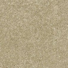 Sophisticat In Latte Carpet