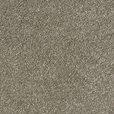 Sophisticat In Mocha Carpet